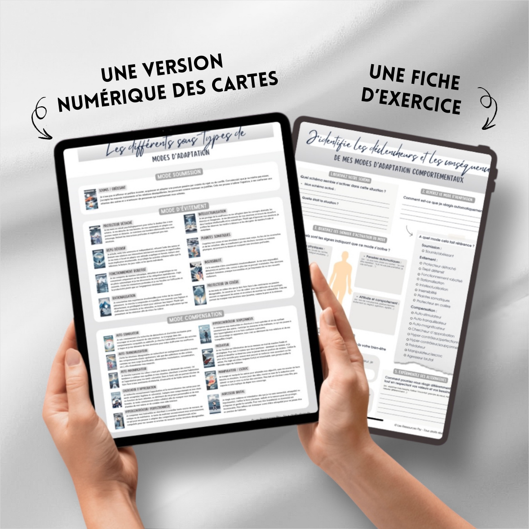 Extension Schémas - Les modes d'adaptation